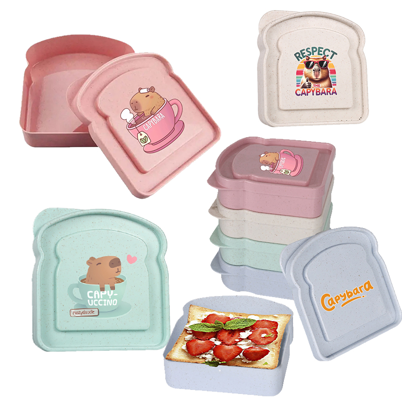 Food Storage With Dividers - กล่องเก็บอาหารลายคาปิบารา สำหรับใส่แซนวิช สลัด ผลไม้ ขนม กล่องอาหารกลางวันแบบมีฝาปิด
