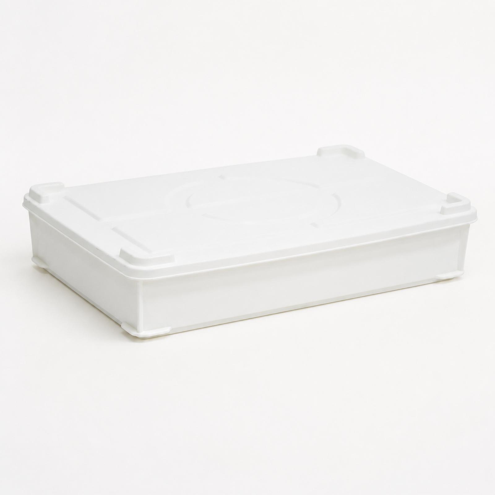 กล่องหมักแป้ง HDPE สำหรับหมักแ - Food Storage Containers บทวิจารณ์และราคา